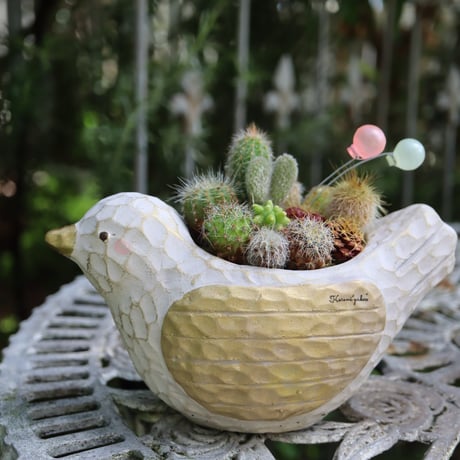 幸せを運ぶ小鳥さん🌸🥚🐤