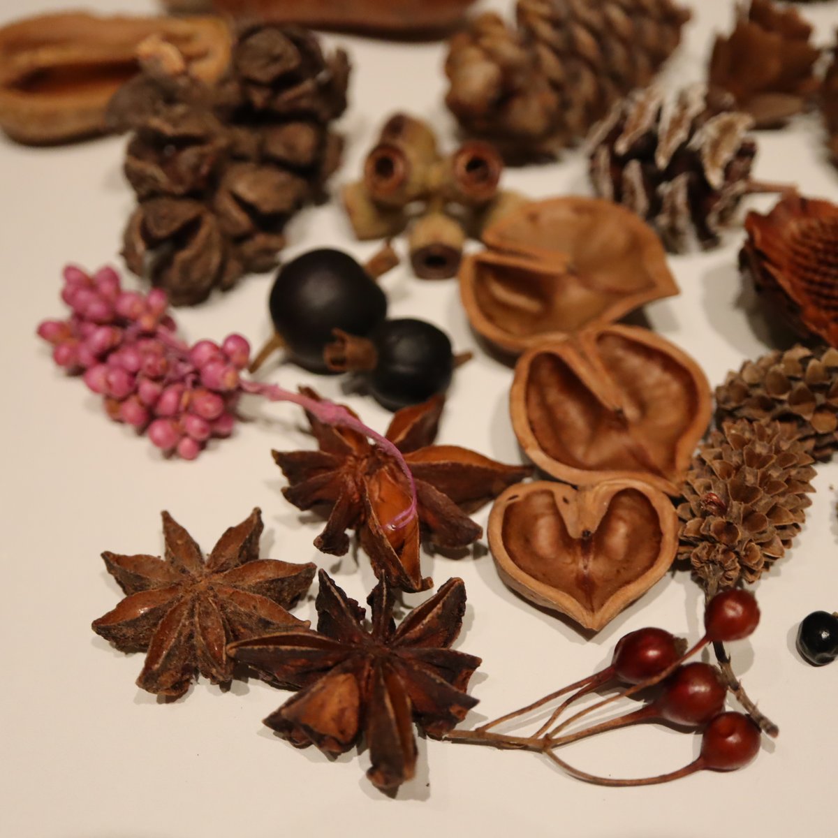 no.123 木の実　草の実　ルビーのミニマム no.123 木の実 草の実 ルビーのミニマム