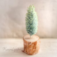 積み木  プラザのtree（ポアプランツ）