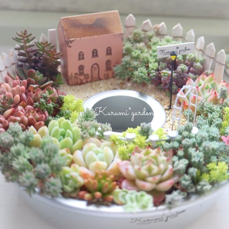 ピンクのステキなお家【多肉の箱庭】