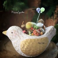 幸せを運ぶ小鳥さん🌸🥚🐤
