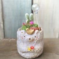 白くまサボテン 【🌸バルーン】