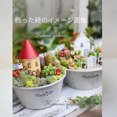 サボテン ミニガーデン