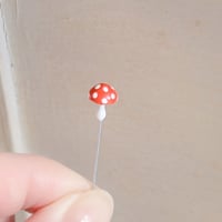 きのこ🍄