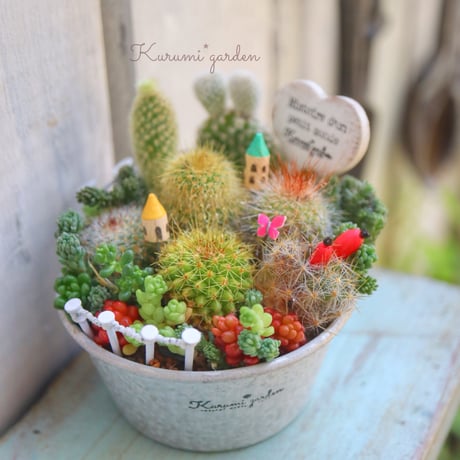 CATEGORY 寄せ植え作品 | kurumigarden's STORE CATEGORY 寄せ植え作品 | kurumigarden's STORE