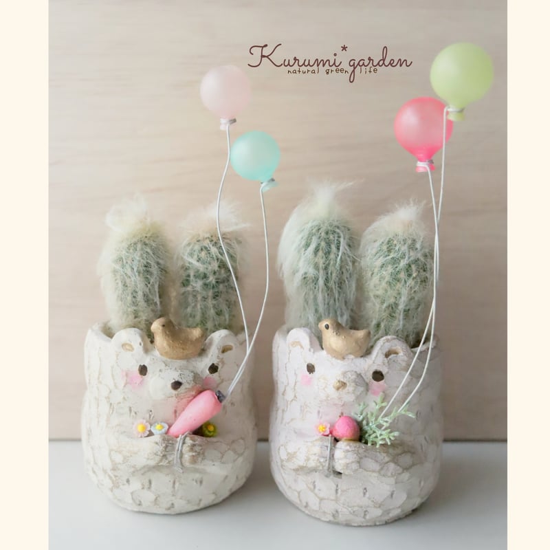 欲張りなうさみみ白クマちゃん♡ | kurumigarden's STORE