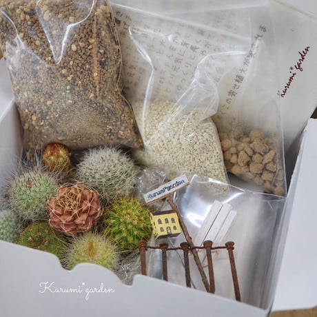 寄せ植えキット(サボテン ミニチュアガーデン キット🏡🌵)