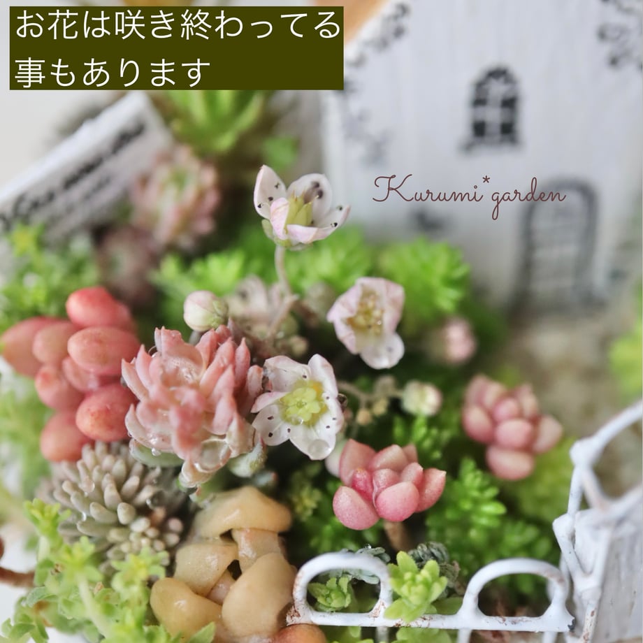 6270a6a3d175137d8ac8dd4b