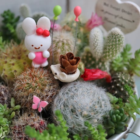 🌸ネズぼっくり＆うさみみのピックセット🌼