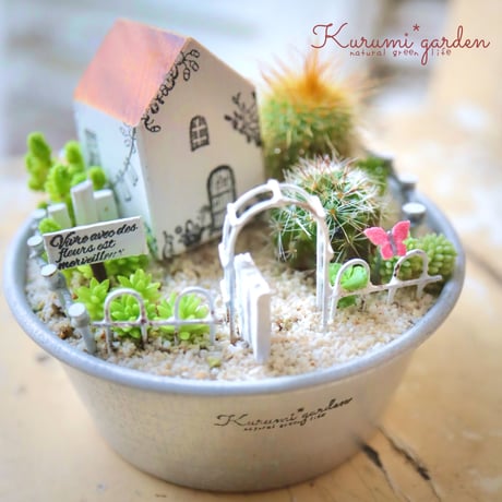 多肉セット19種(ミニミニ苗) 多肉をめぐって道の駅