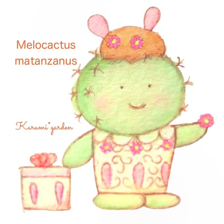 メロカクタスくん【マタンザナス】🌵🎩