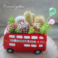 サボテン🌵ロンドンバス🇬🇧