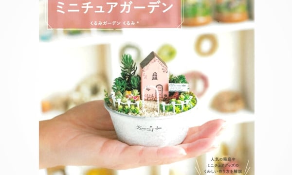 ちょくみ様　多肉植物棚　GAI-W80AW ちょくみ様 多肉植物棚 GAI-W80AW 商品 – Kurumi Succulents