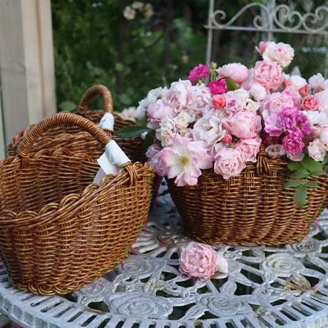 SoldOutフレッシュ20cmリース木箱もみの木木の実ドライフルーツリース