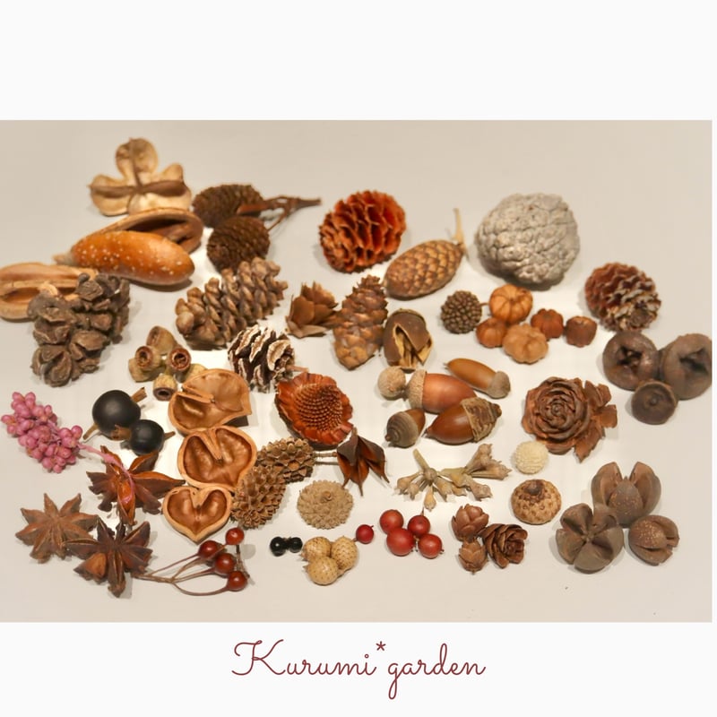 no.123 木の実　草の実　ルビーのミニマム no.123 木の実 草の実 ルビーのミニマム