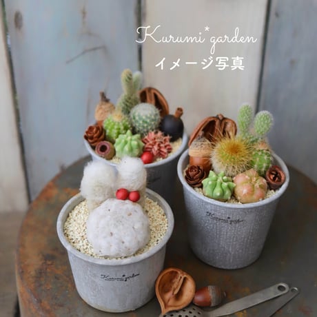 サボテンと木の実のミニカップ 🌵💕