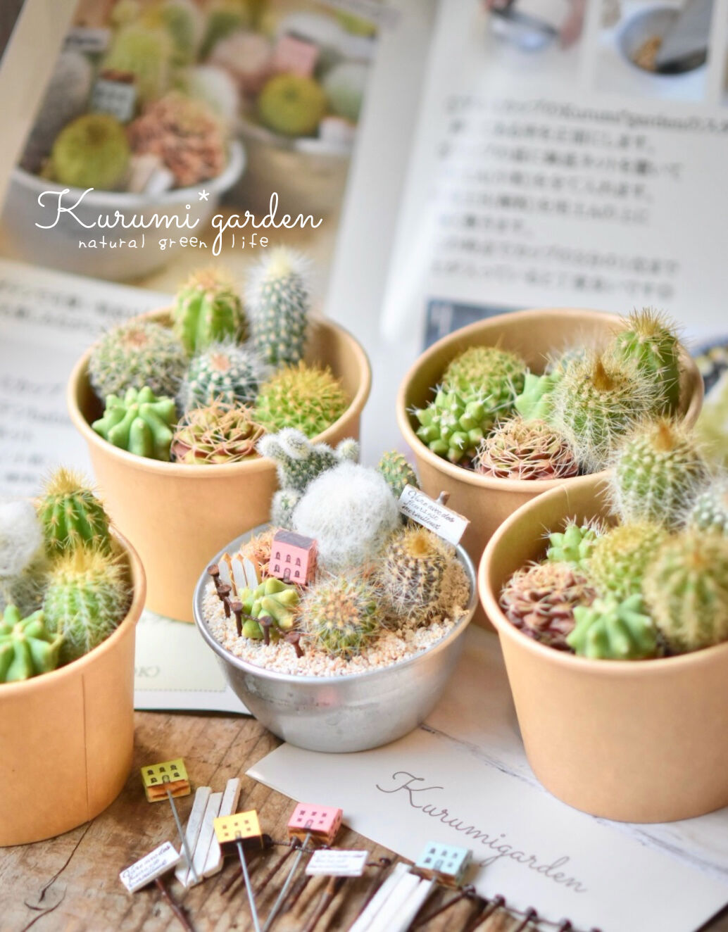 寄せ植えキット(サボテン ミニチュアガーデン キット