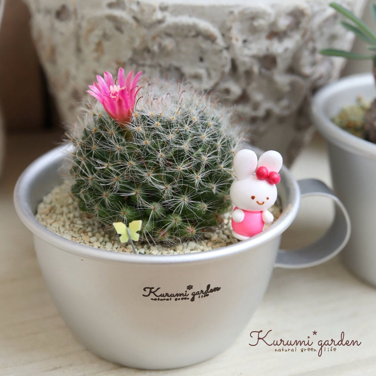 マグカップのカワイイサボテン🌸🩷 | kurumigarden's STORE