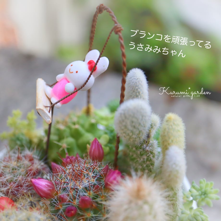 6818a026d7091daf2dd04f45