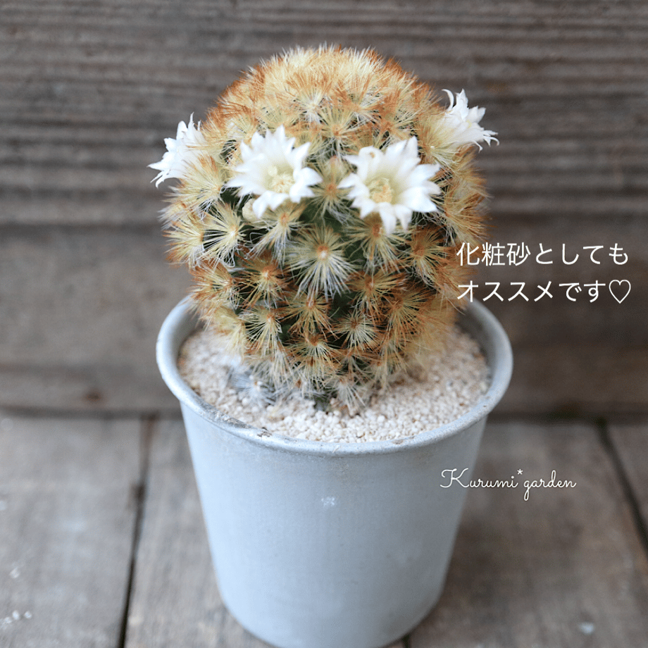 5cac6c5bc3a9676a51fc2893