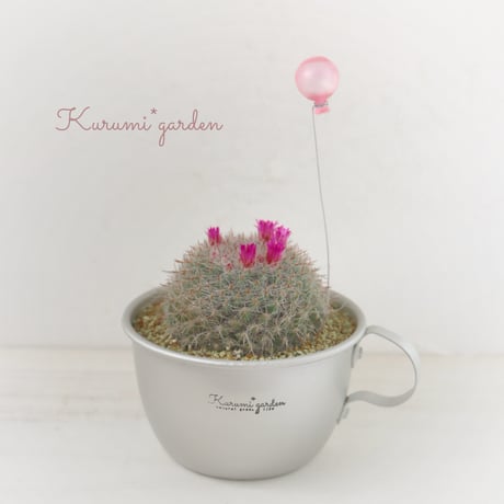 CATEGORY Pick up item | kurumigarden's STORE