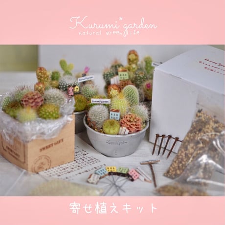 寄せ植えキット(サボテン ミニチュアガーデン キット🏡🌵)