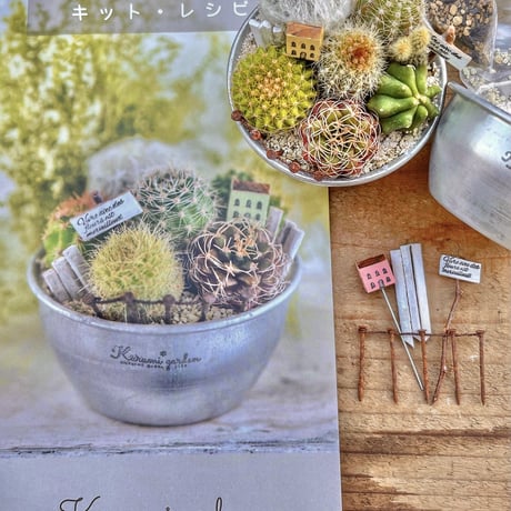 寄せ植えキット(サボテン ミニチュアガーデン キット🏡🌵)