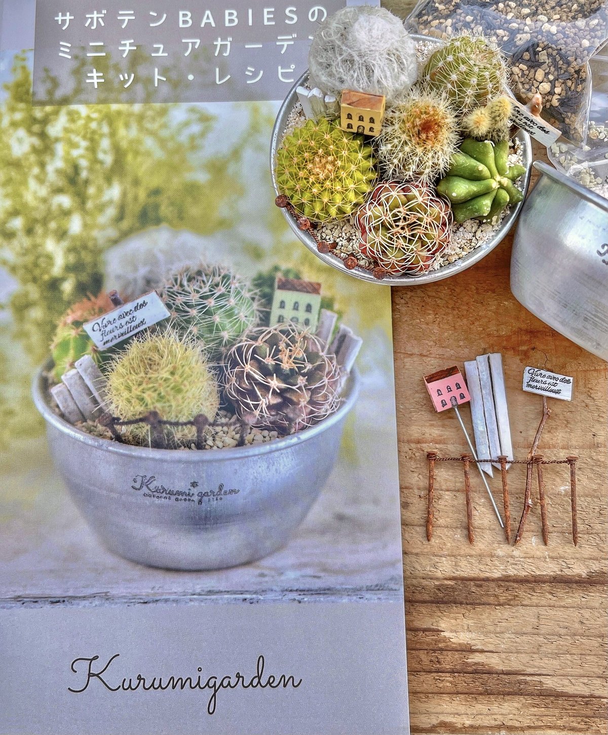 寄せ植えキット(サボテン ミニチュアガーデン キット