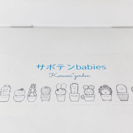 サボテンbabies  12コ