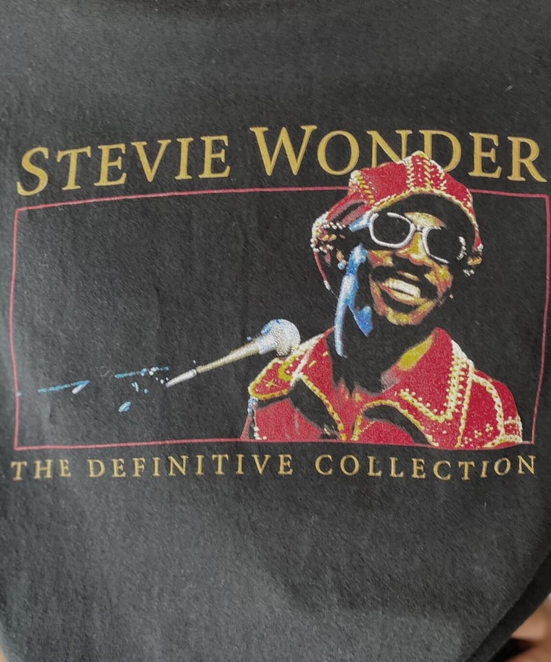 USED】 S/S T-shirt STEVIE WONDER/210526-025 | T