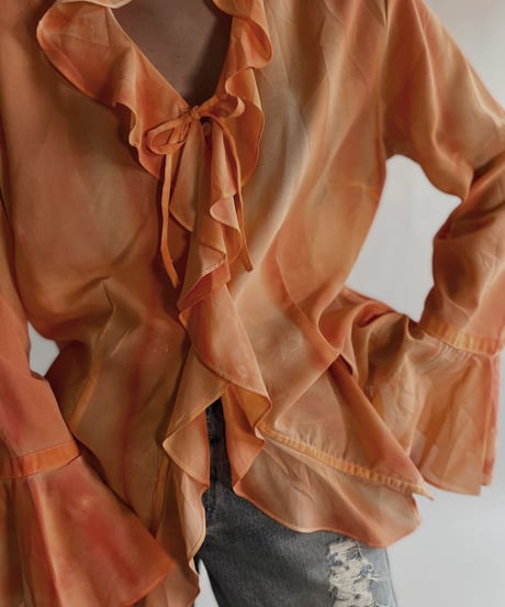 【USED】 Long Sleeved See-through Blouse / 220528-020