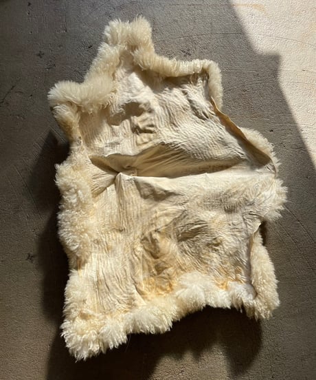 【USED】  Fur Rug ⑥/20211222-006