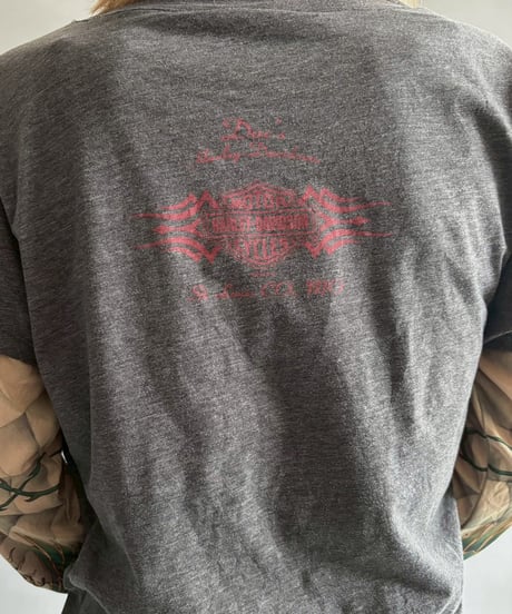 【USED】 HARLEY DAVIDSON TATTOO sleeve design top / 250913-012