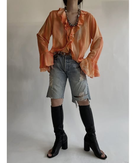 【USED】 Long Sleeved See-through Blouse / 220528-020