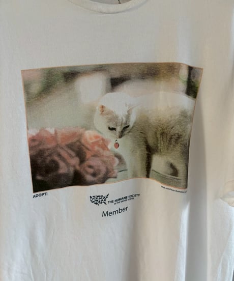 【USED】 Photo T-Shirt / 260704-011