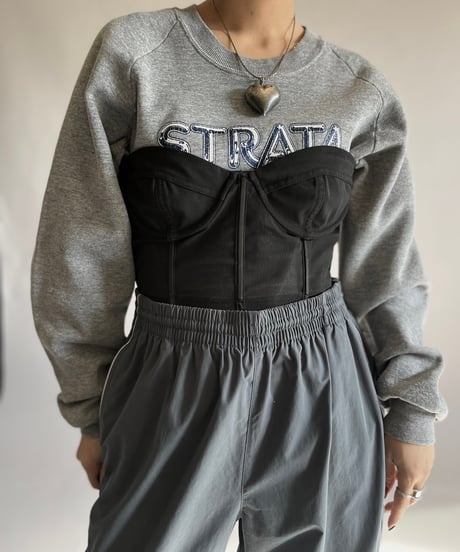 【USED】 Sheer Corset Bra Top /241207-025