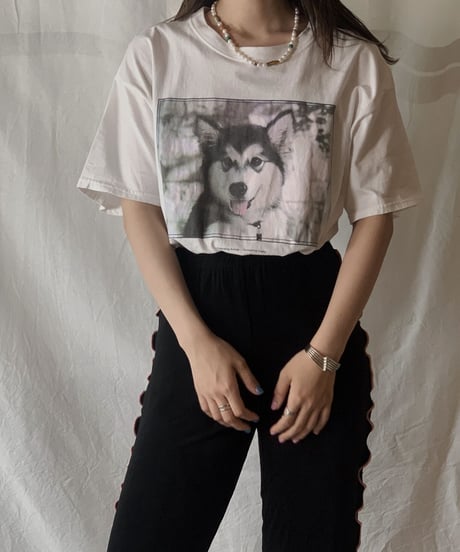 【USED】S/S T-shirt DOG① /210604-003