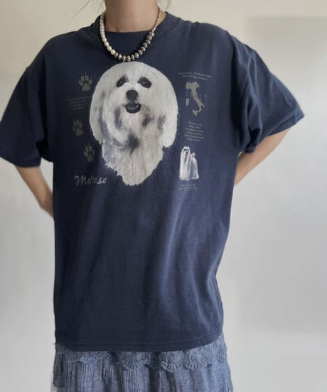【USED】 Animal T-shirt /220716-016