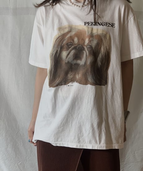 【USED】S/S T-shirt DOG⑨/210604-021