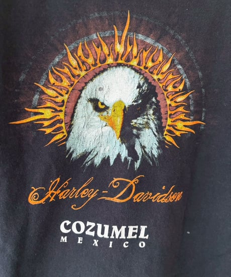 【USED】 HARLEY-DAVIDSON Tee / 260418-042
