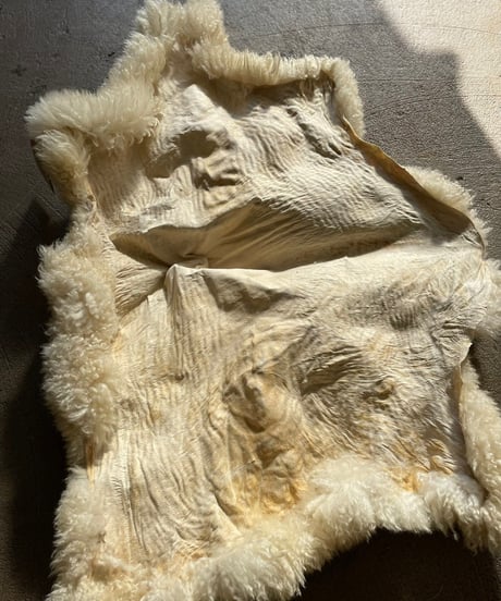 【USED】  Fur Rug ⑥/20211222-006