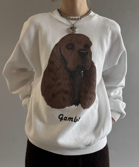 【USED】 MADE in USA FRUIT OF THE ROOM gambler Sweat / 250927-003