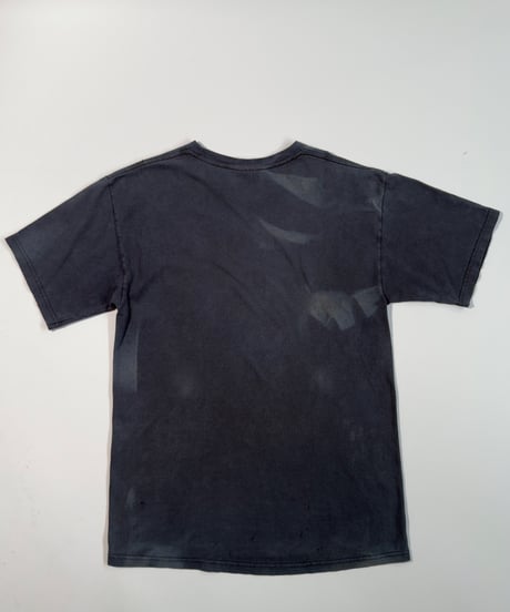 【USED】00s Hanes RED HOT CHILI PEPPERS Band T-Shirt / 250830-039