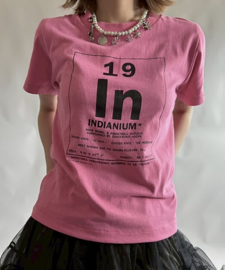 【USED】 RESIZED Hanes MADE in USA INDIANIUM T-Shirt / 250830-002