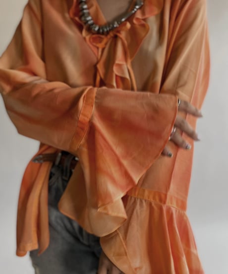 【USED】 Long Sleeved See-through Blouse / 220528-020