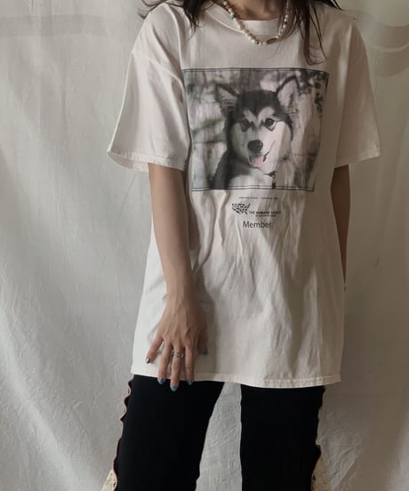 【USED】S/S T-shirt DOG① /210604-003