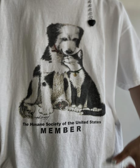 【USED】 Short Sleeved Dog and  Cat T-shirt / 220611-013