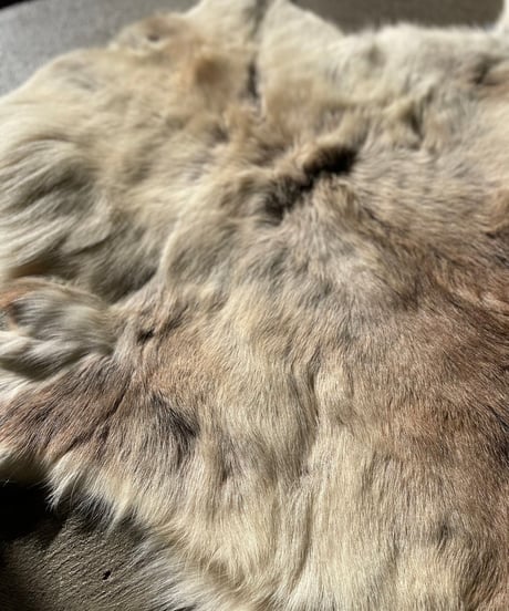 【USED】  Fur Rug ⑩/20211222-010