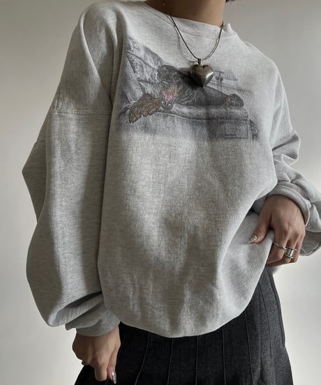 【USED】 90s Hanes Dog Print Sweat /250118-029