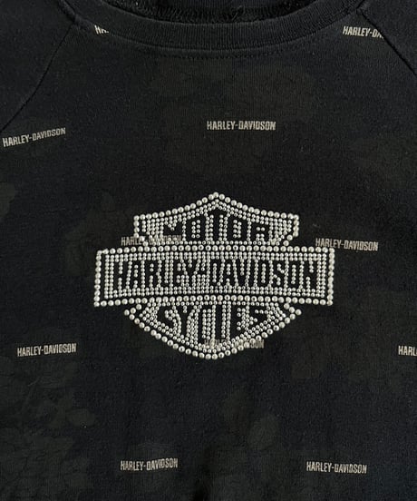 【USED】Made in USA HARLEY-DAVIDSON L/S T-Shirt /240824-044